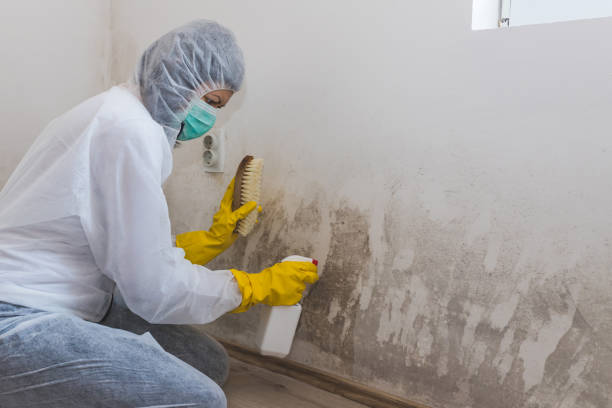 Crawl Space Mold Removal in Plymouth, IN