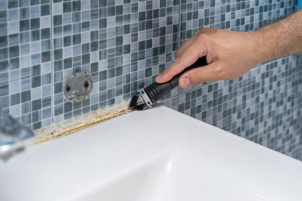 Best Mold Testing  in Plymouth, IN