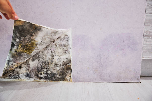 Water Damage Restoration in Plymouth, IN